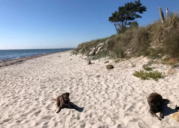 Haylees Hus Kellenhusen