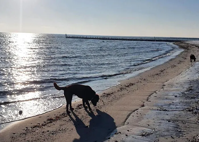 Haylees Hus Appartamento